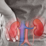 Renal Diseases: Navigating Life from Diagnosis to Recovery
